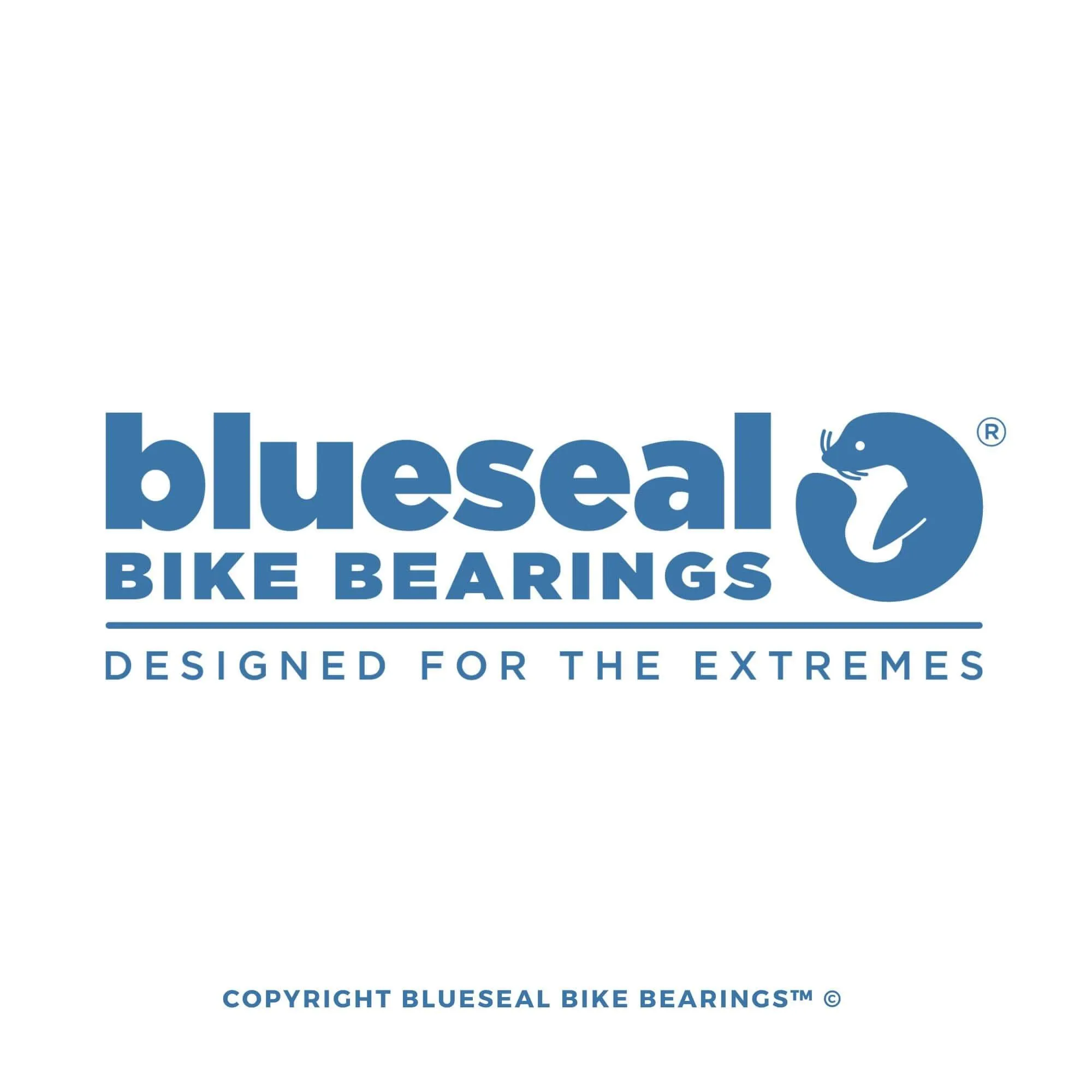 6802 MAX | 15 x 24 x 5mm | Blueseal Bike Bearings™