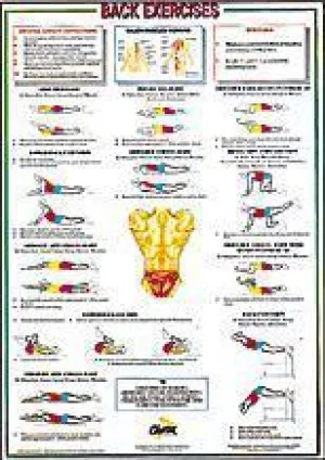 Back Exercises (Floor) Chart