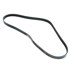 Belt Biking500