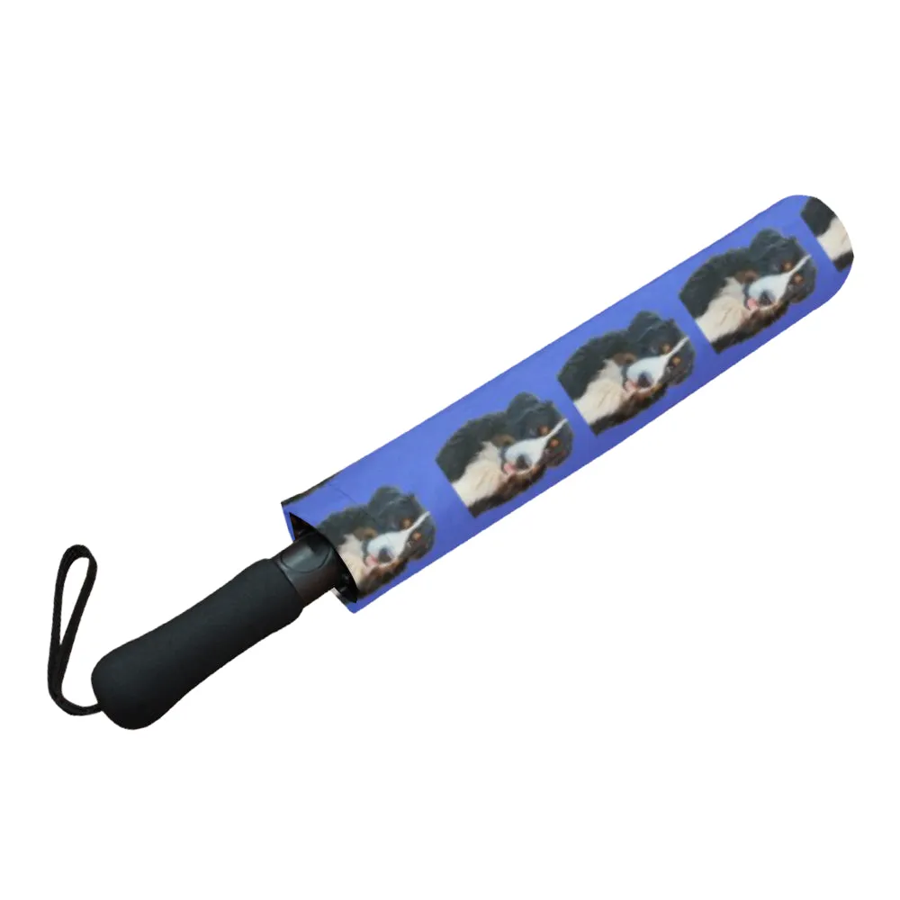 Bernese Mountain Dog Umbrella - Blue Semi Auto
