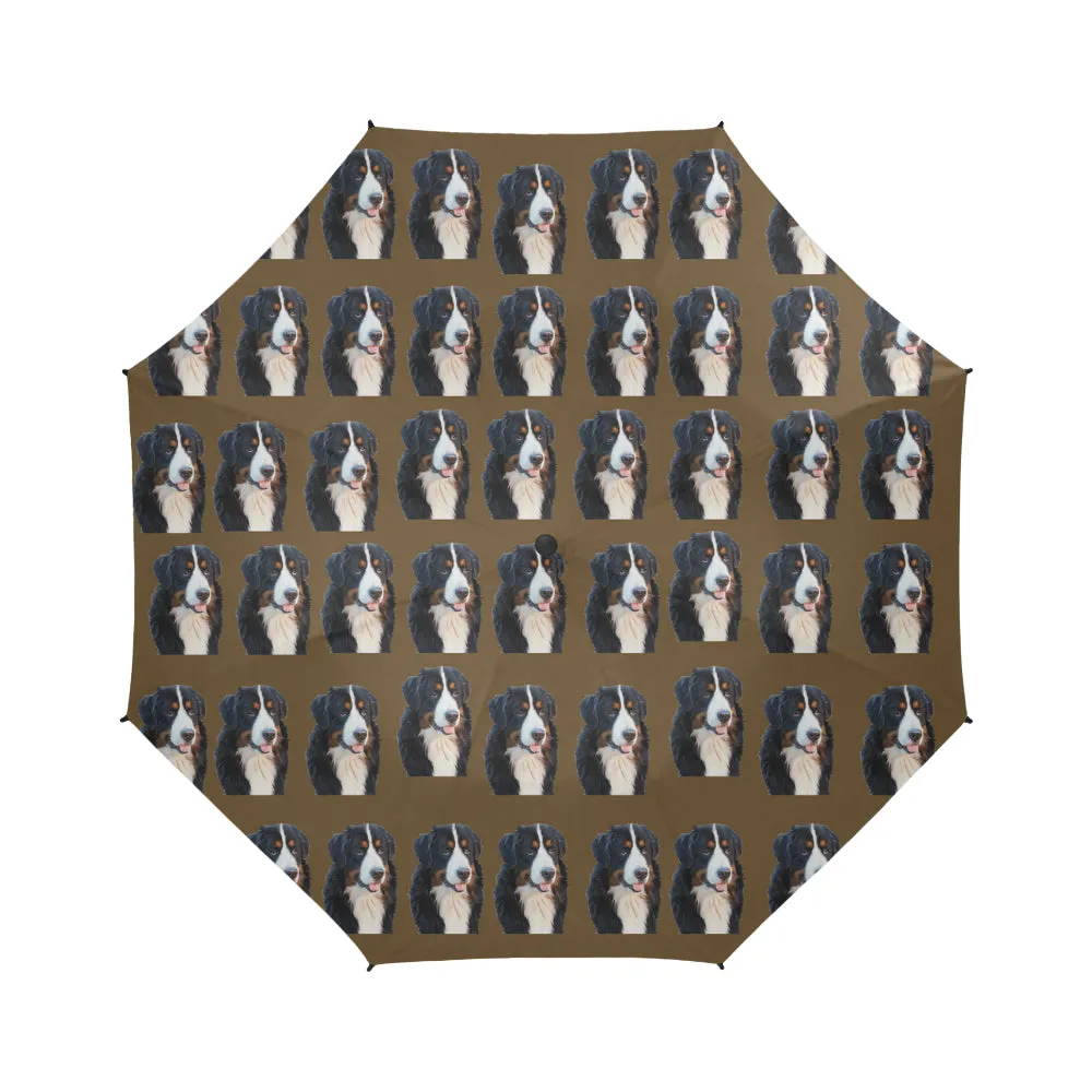 Bernese Mountain Dog Umbrella - Semi Auto