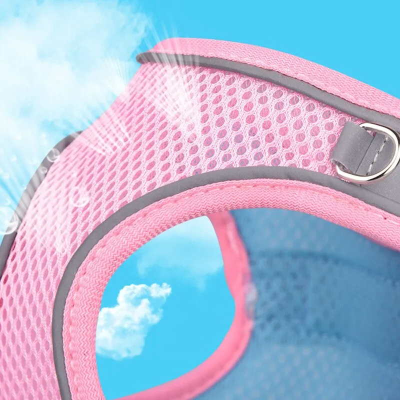 Breathable Small Dog Harness Set