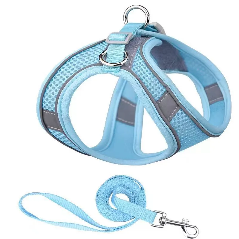 Breathable Small Dog Harness Set