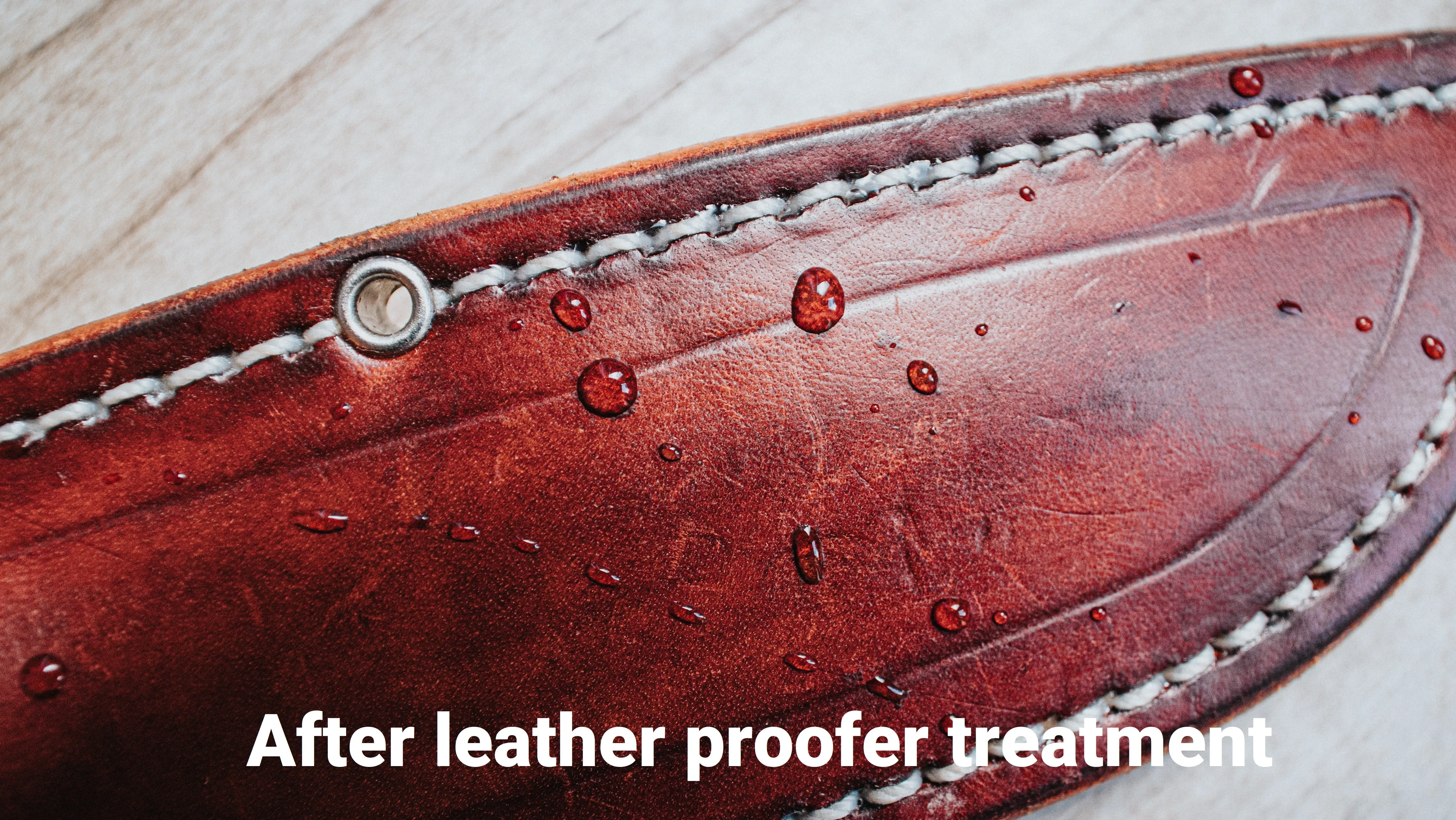 DBK LEATHER PROOFER