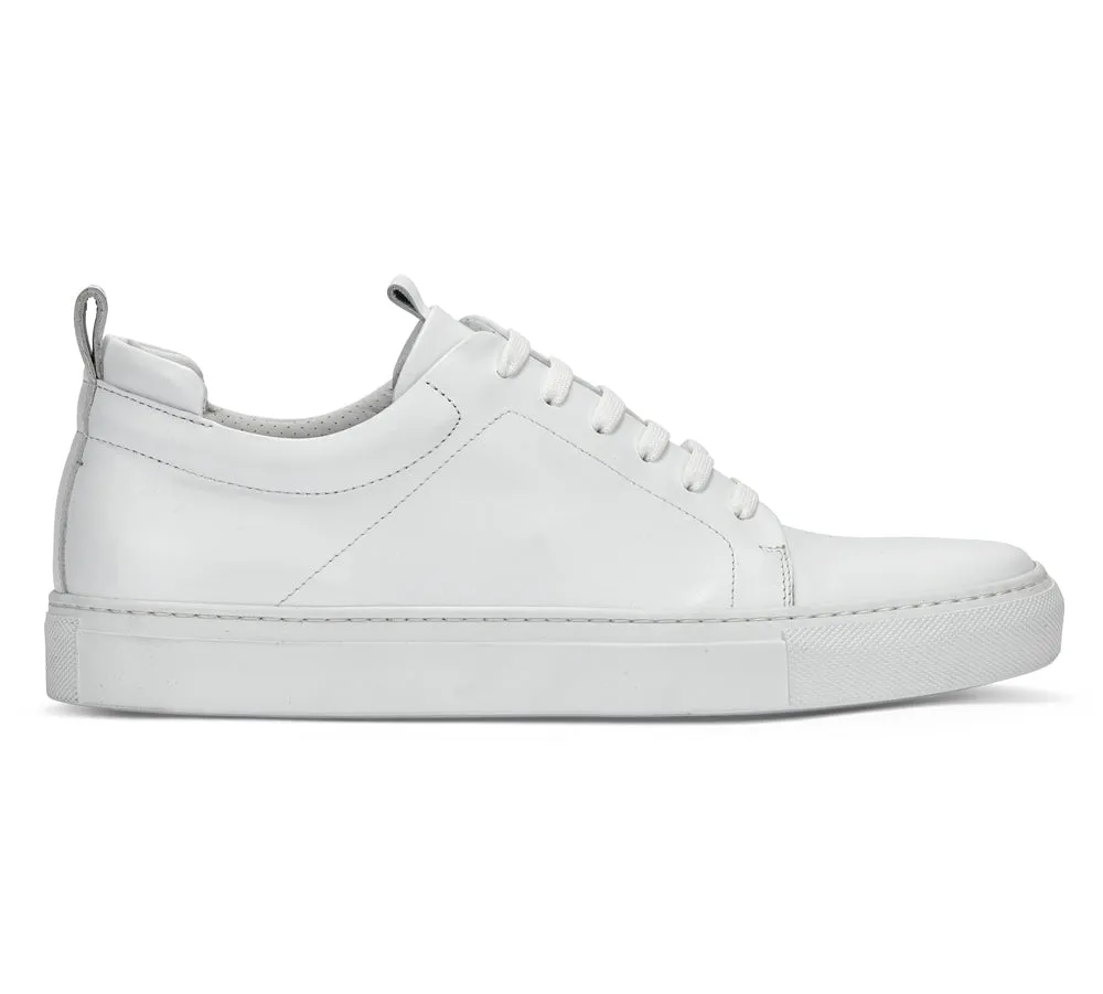 DON | WHITE