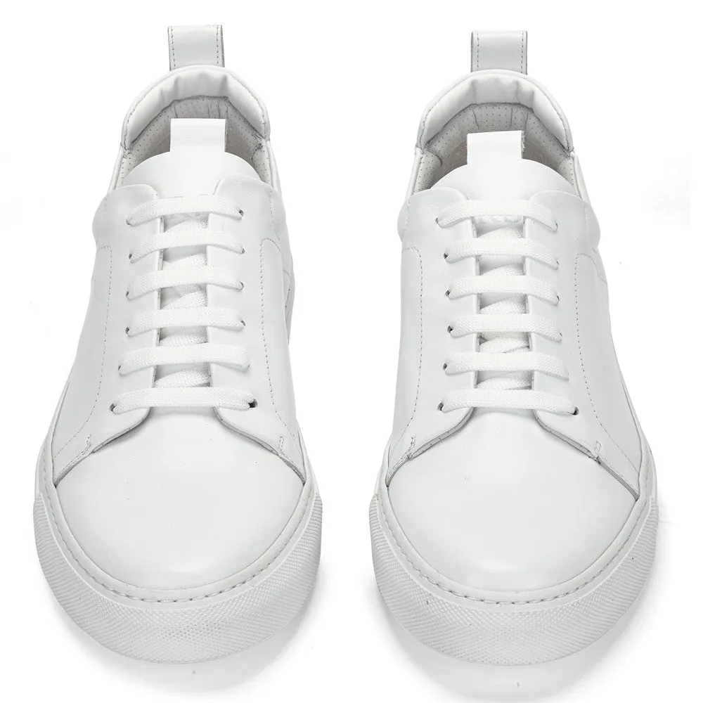 DON | WHITE