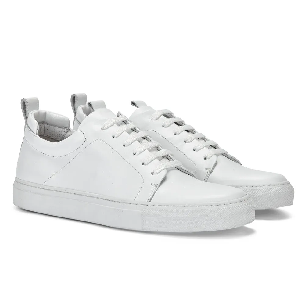 DON | WHITE