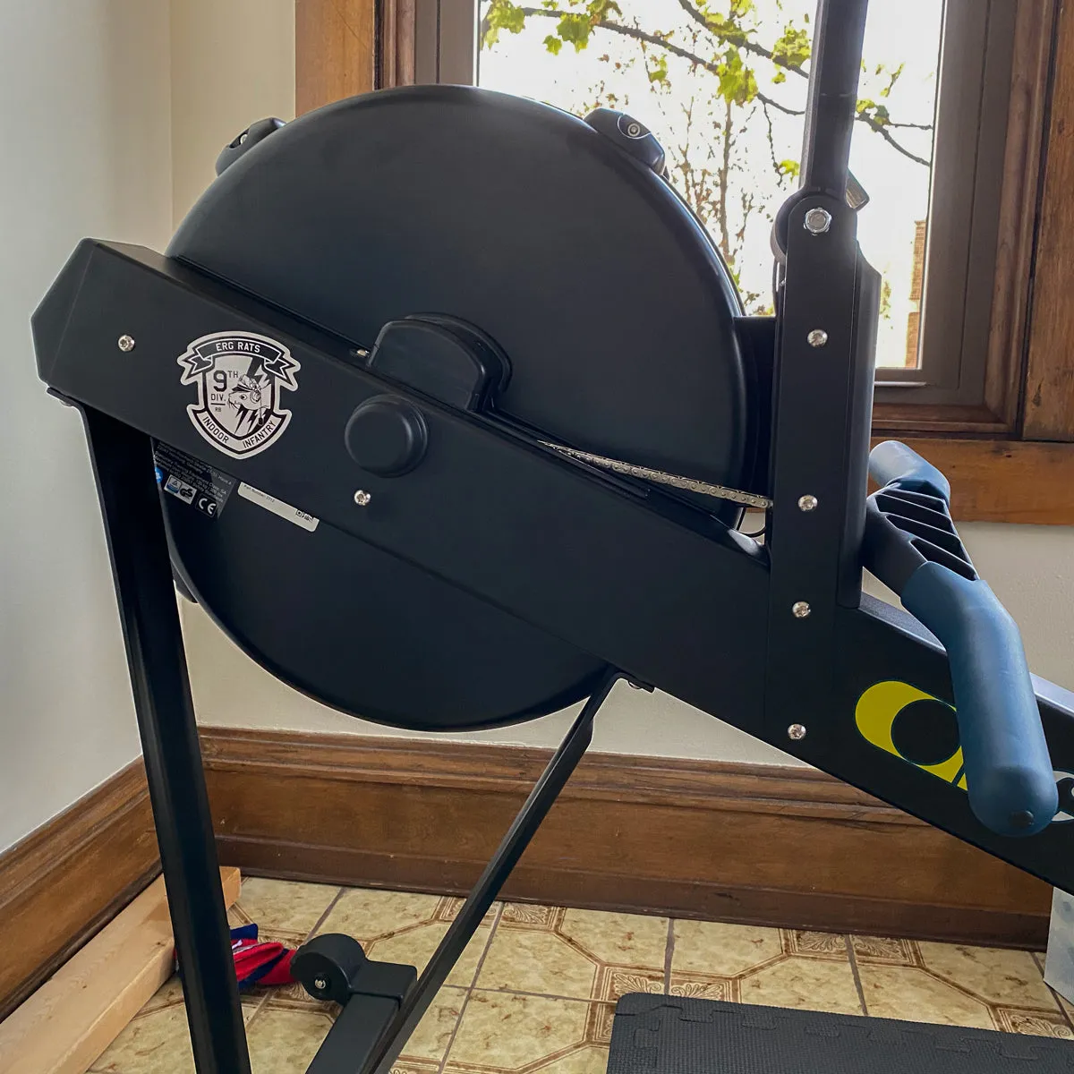 Erg Rats Decal