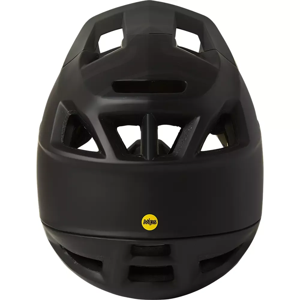 Fox Proframe Full Face Helmet