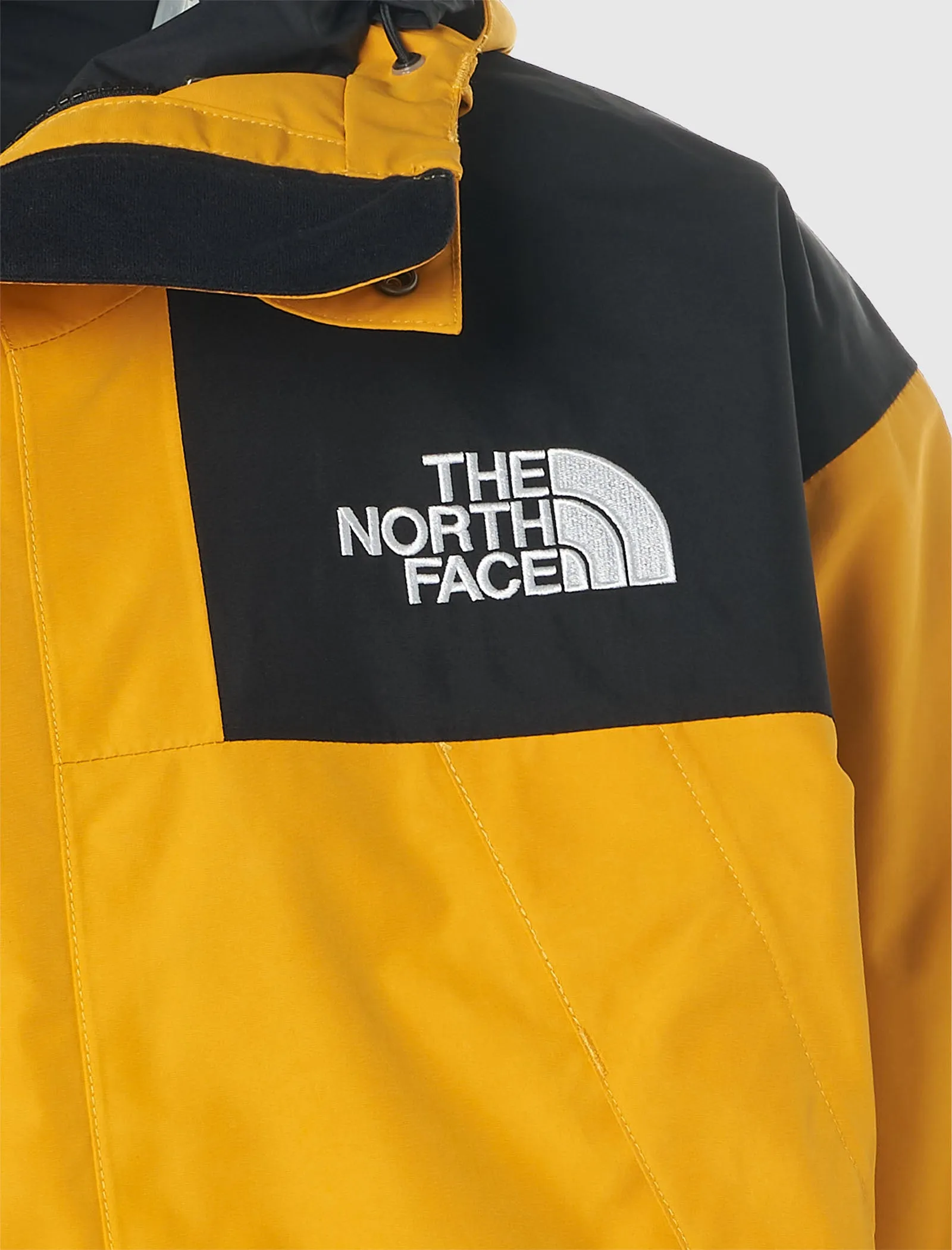 GTX MOUNTAIN JACKET