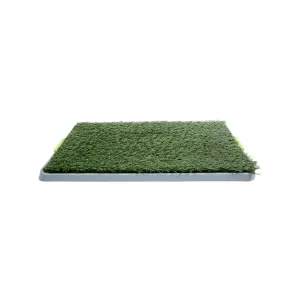 Happy Tails Puppy Training Grass