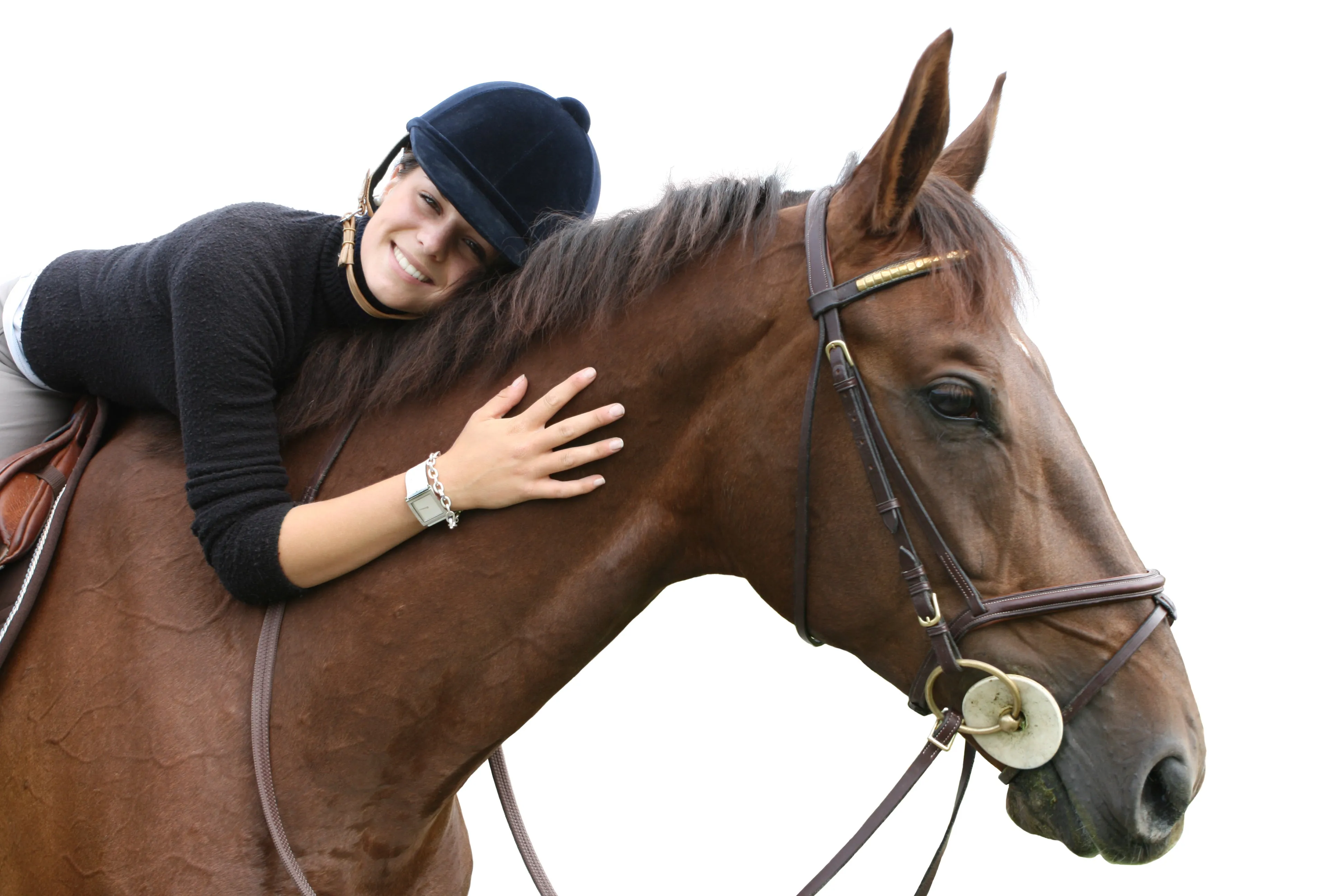 Helping Humans One Animal At A Time, a book of stories and studies.