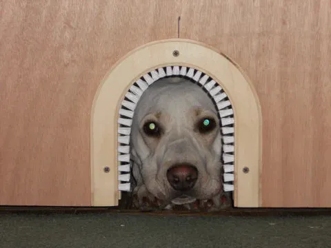 Helping Humans One Animal At A Time, a book of stories and studies.