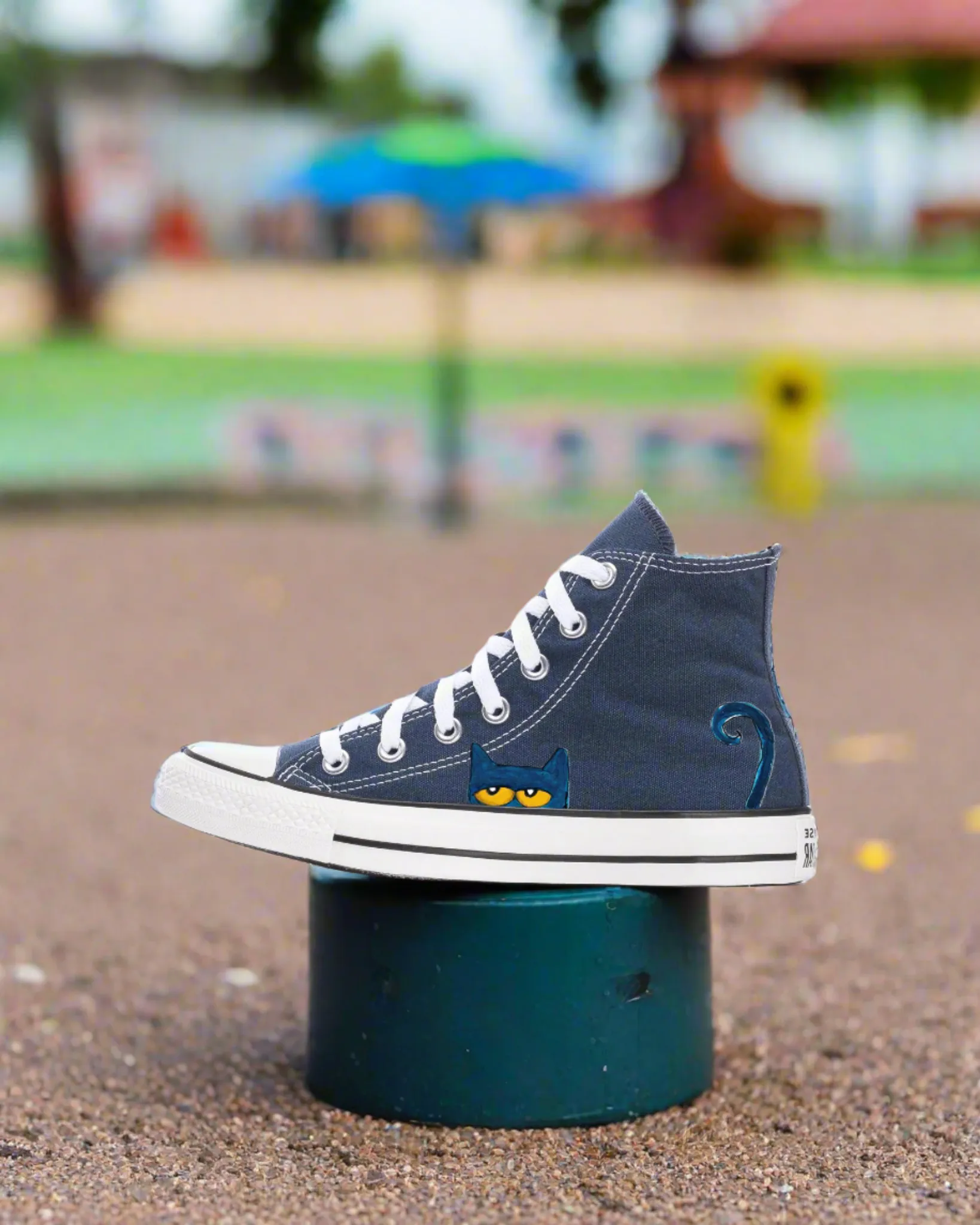 I Like My Blue Shoes | Pete the Cat Chucks | YOUTH