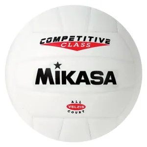 Indoor/Outdoor Volleyball