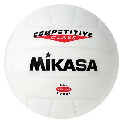 Indoor/Outdoor Volleyball