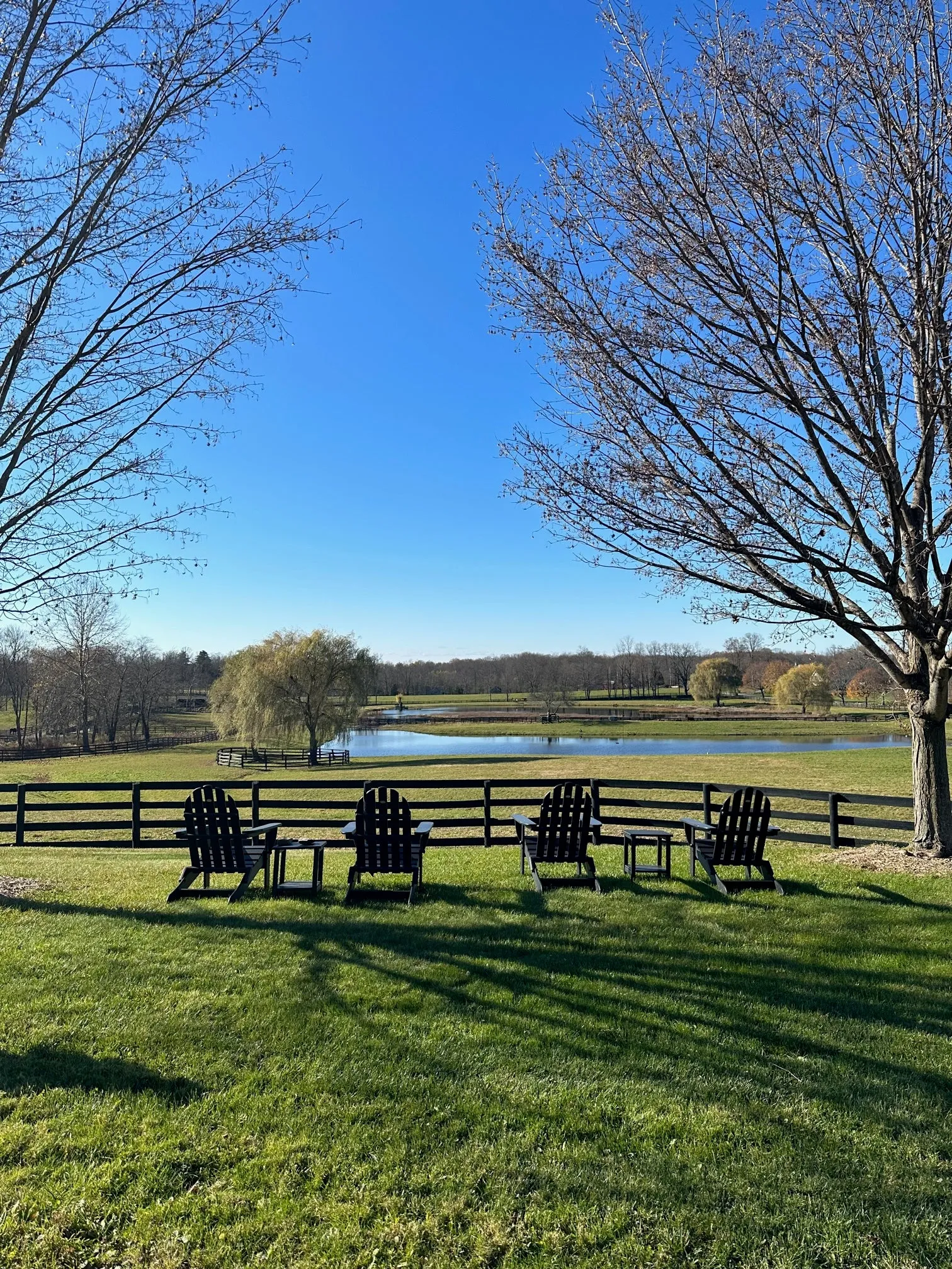 Intensive Yoga Training at Strala Farm in Rhinebeck, July 2024