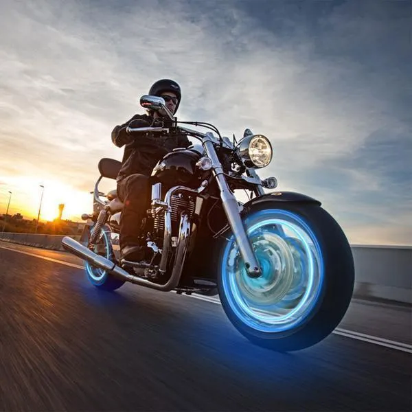LED Wheel Light