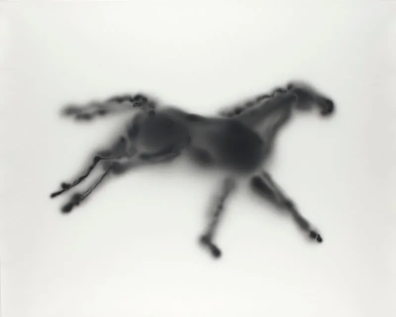 Light Horse (From Eadweard Muybridge's Horses, Running, Sallie G)
