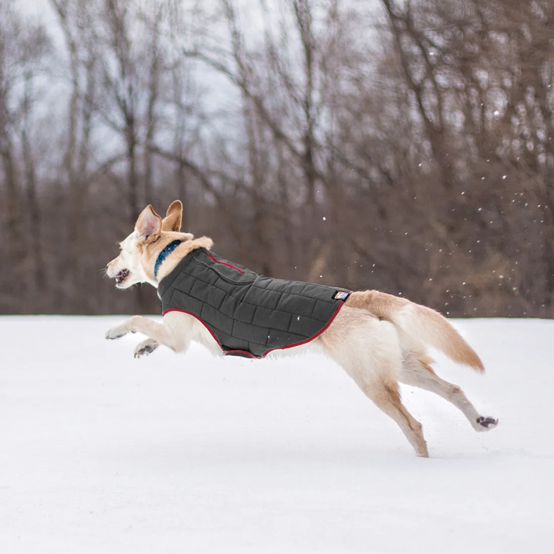 Loft Dog Jacket - Reversible - Red Grey