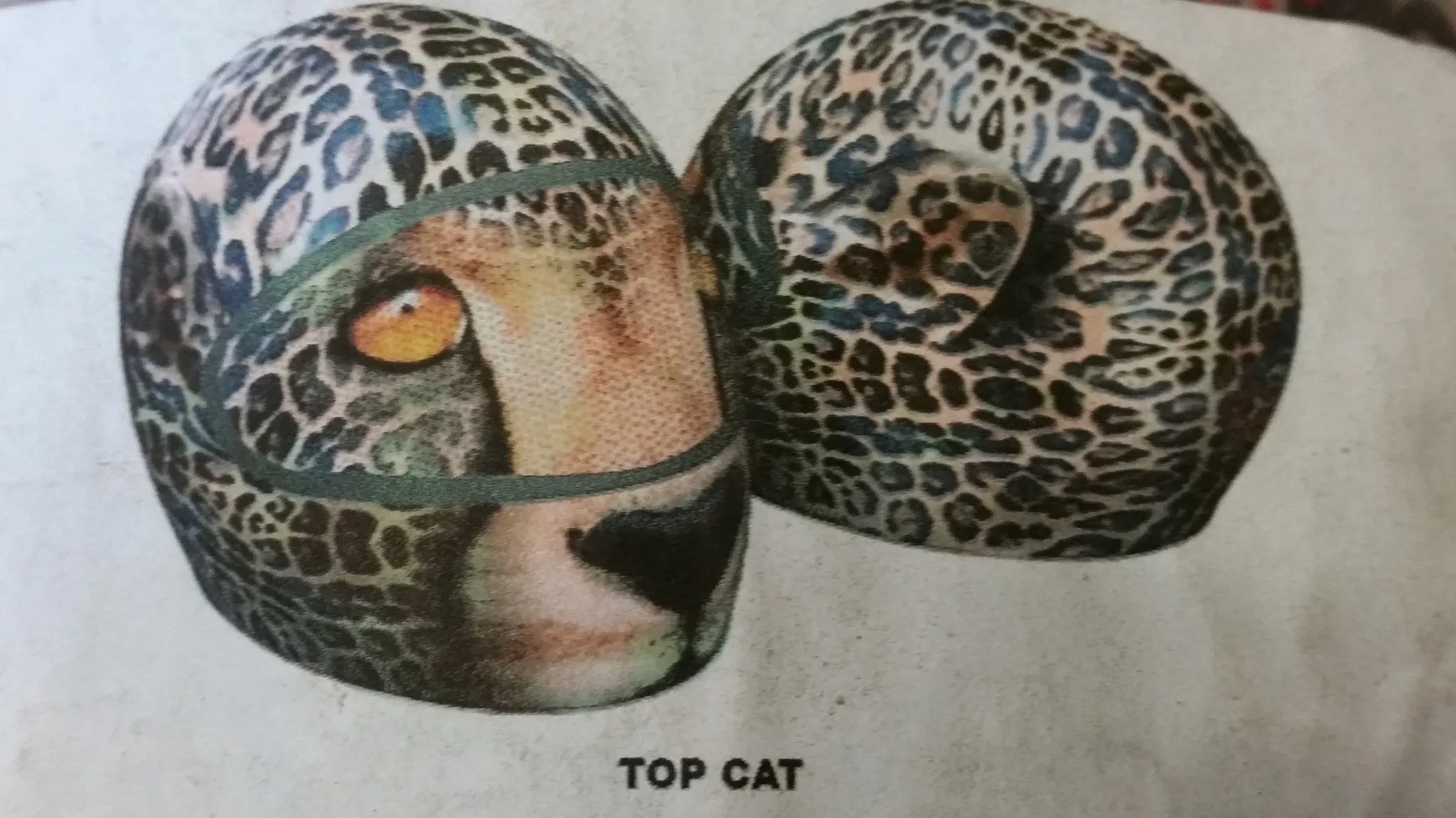 MOTOR BIKE HELMET SKIN COVER VARIOUS DESIGNS WITH VISOR STICKER-OFF ROAD USE