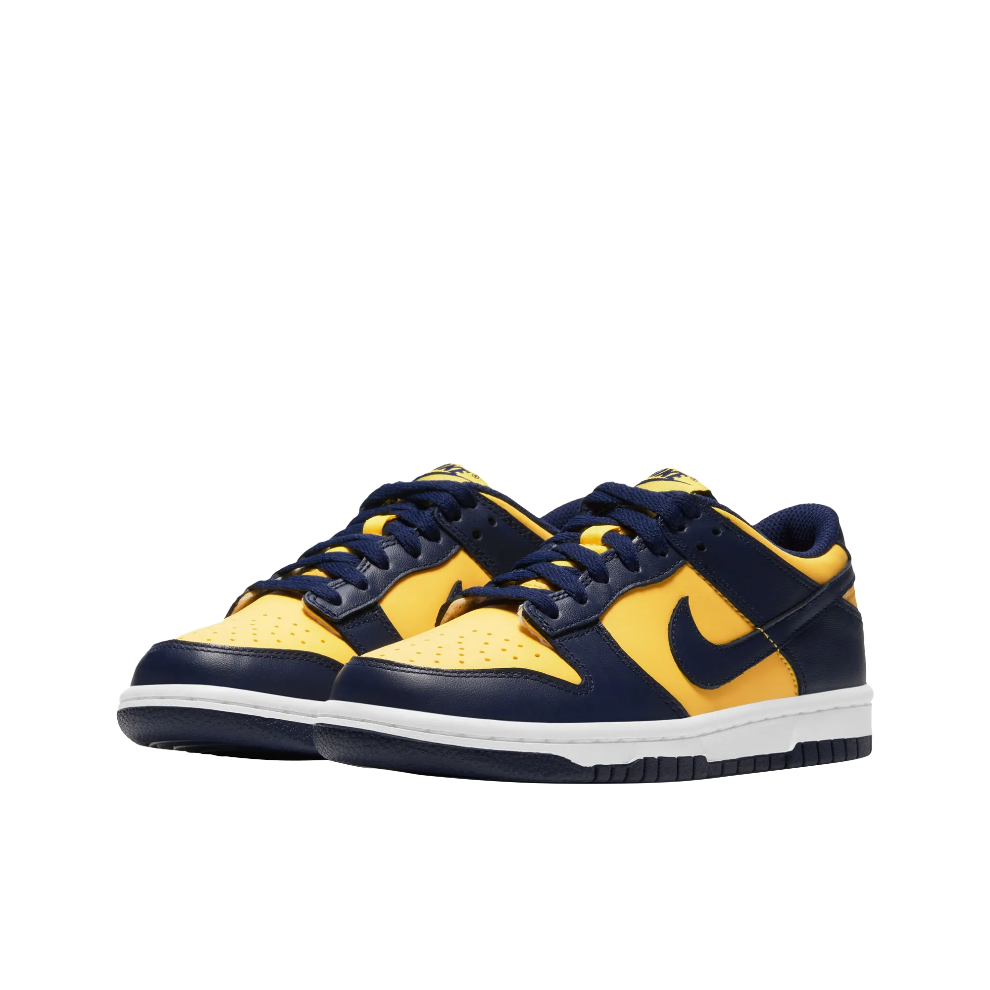 Nike Dunk Low Bg