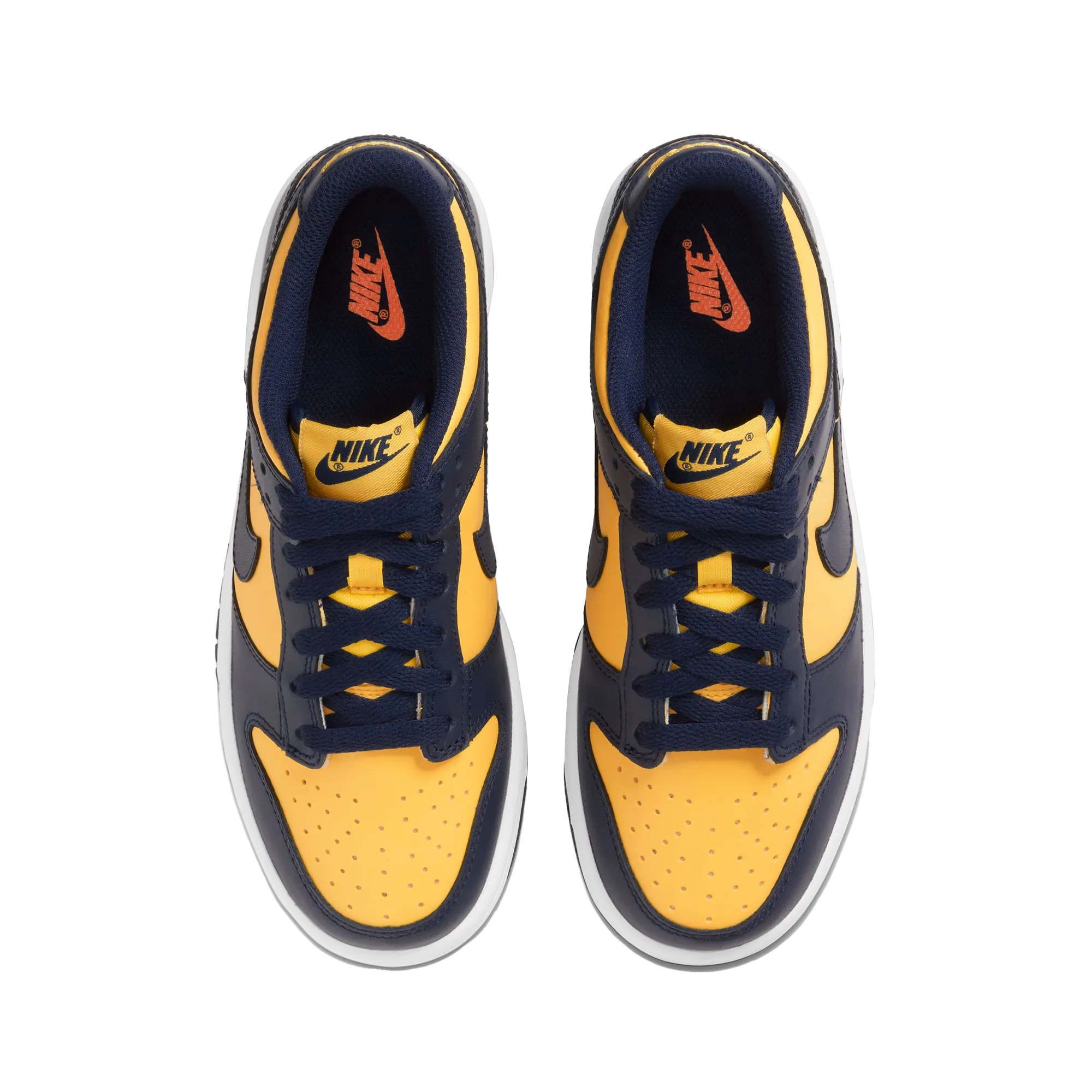 Nike Dunk Low Bg