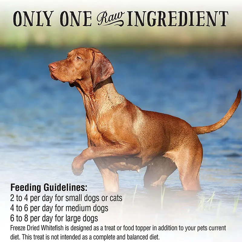 Northwest Naturals Freeze-Dried Whitefish