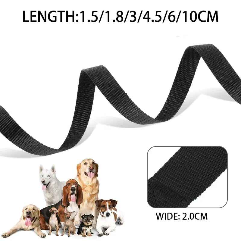 Nylon Pet Leash for Outdoor Training