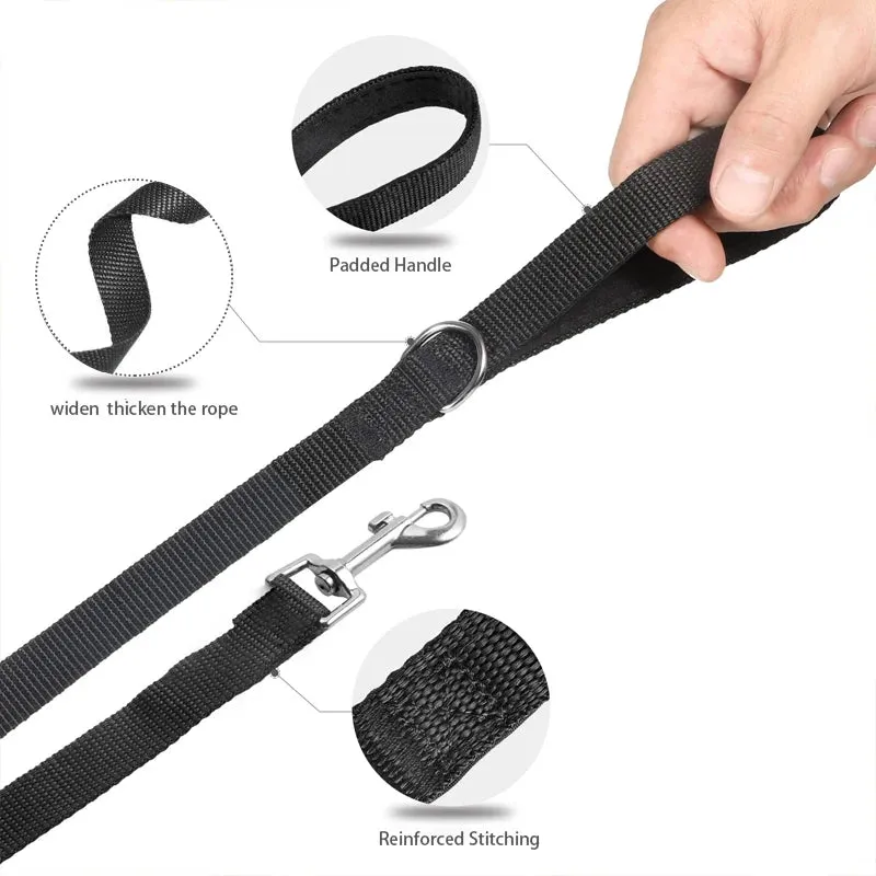 Nylon Pet Leash for Outdoor Training