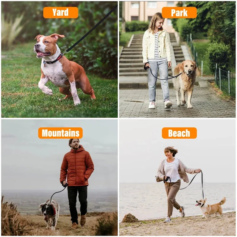 Nylon Pet Leash for Outdoor Training