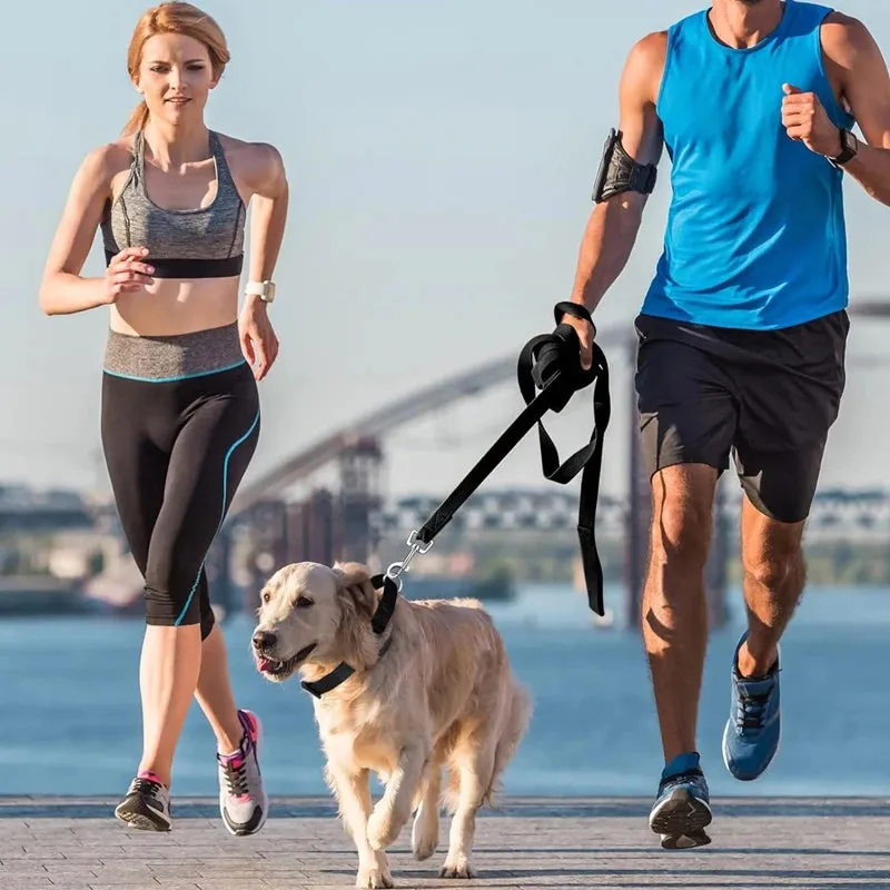 Nylon Pet Leash for Outdoor Training