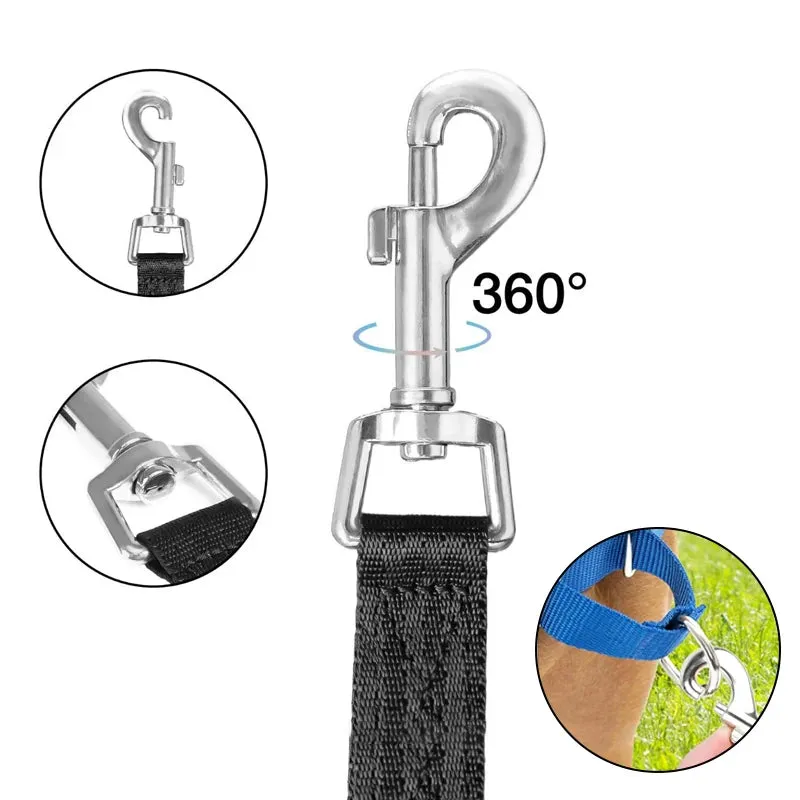 Nylon Pet Leash for Outdoor Training