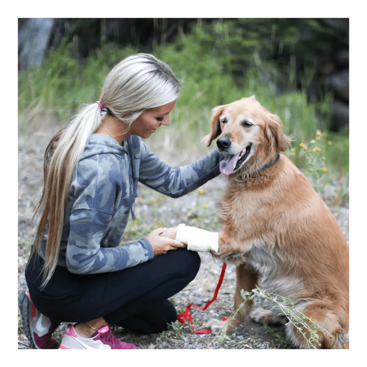 Pet Medic Med Pack