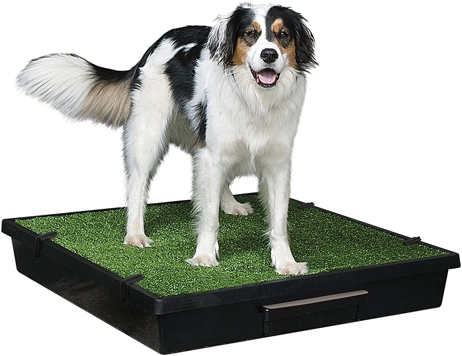PetSafe Pet Loo LARGE 32.5" X 32.5" Portable Indoor/Outdoor Dog Potty, Alternative to Puppy Pads, Large! Retails $250 