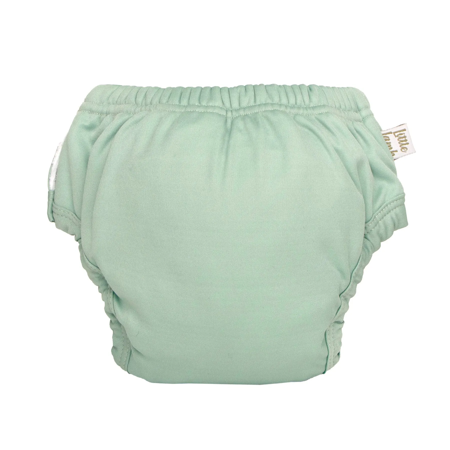 Potty Training Pants