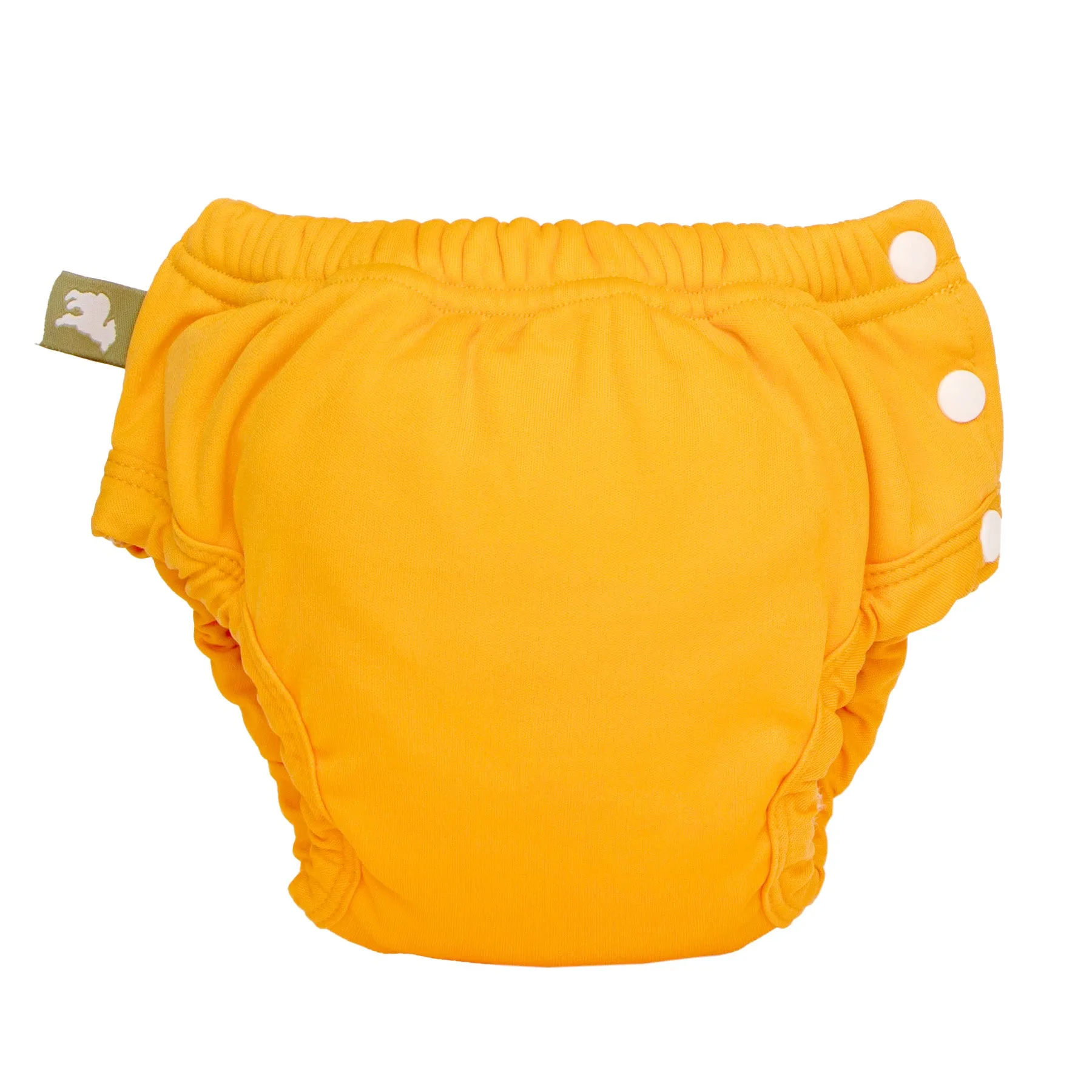 Potty Training Pants