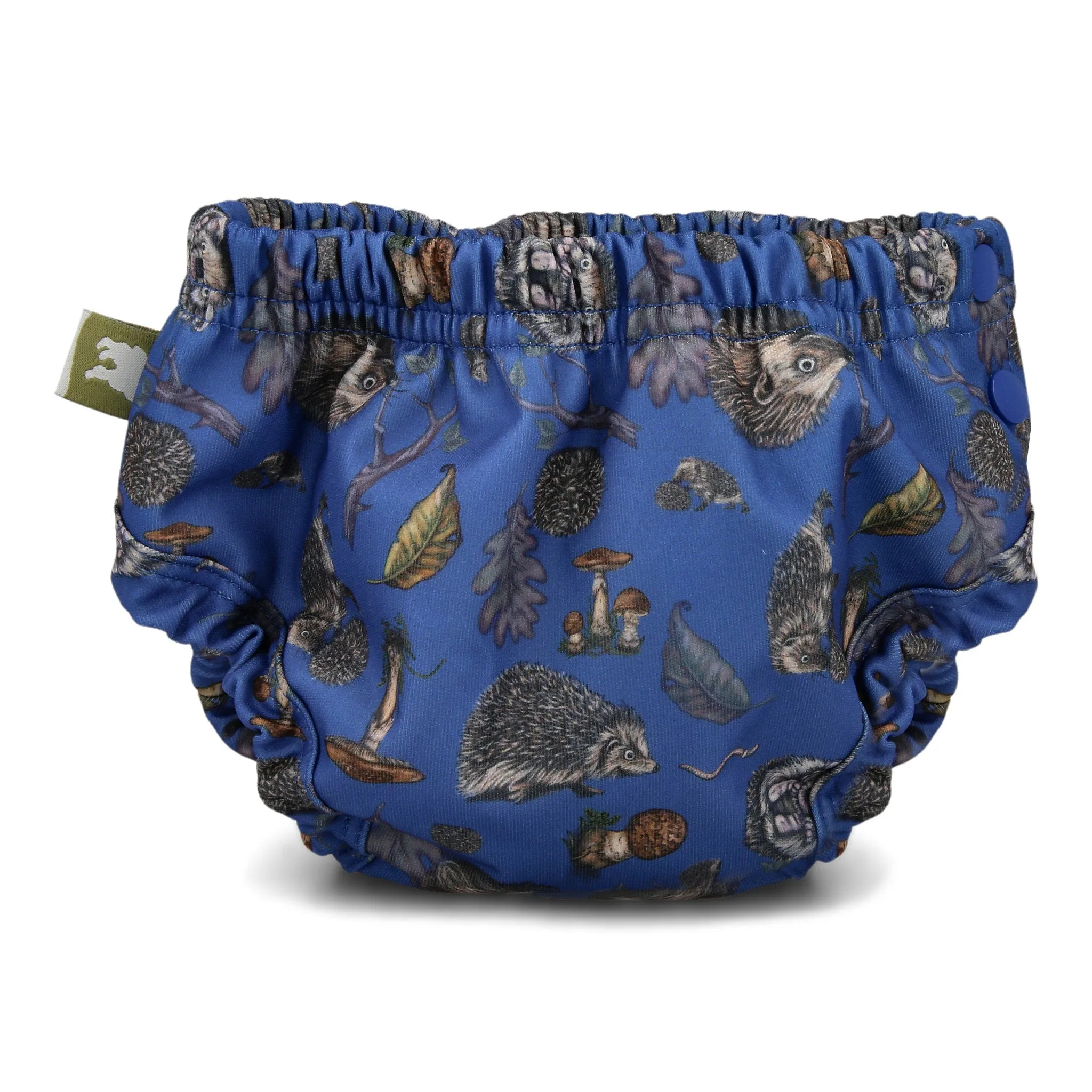 Potty Training Pants