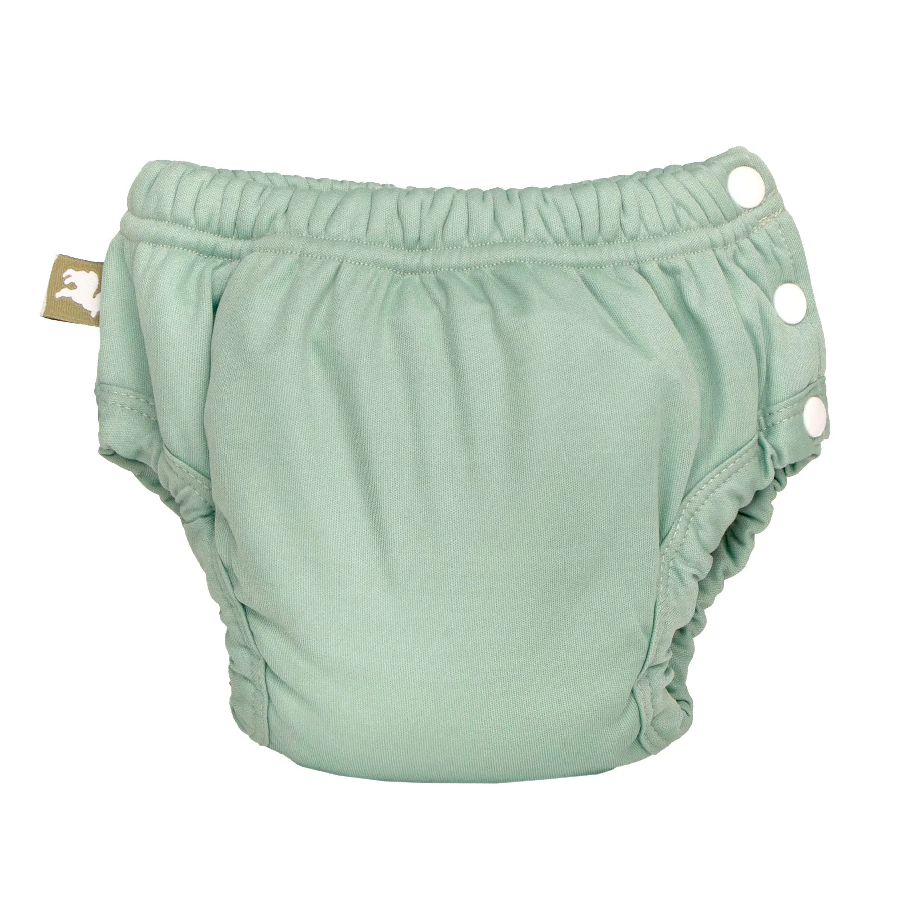 Potty Training Pants