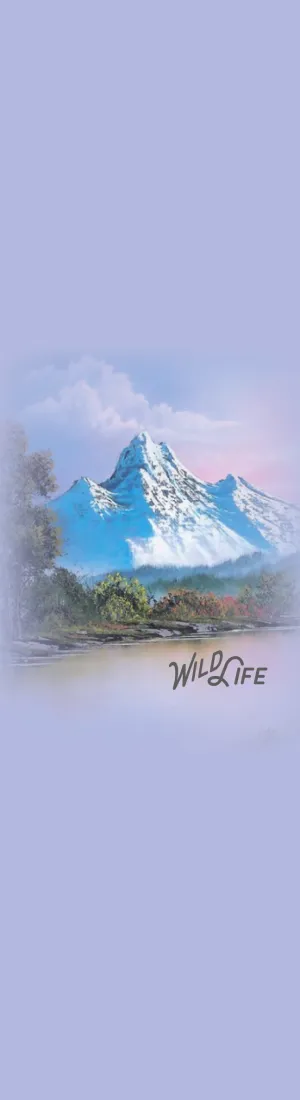 Purple Mountains Majesty