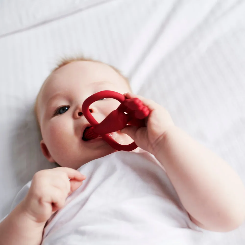 Red Monkey Teether