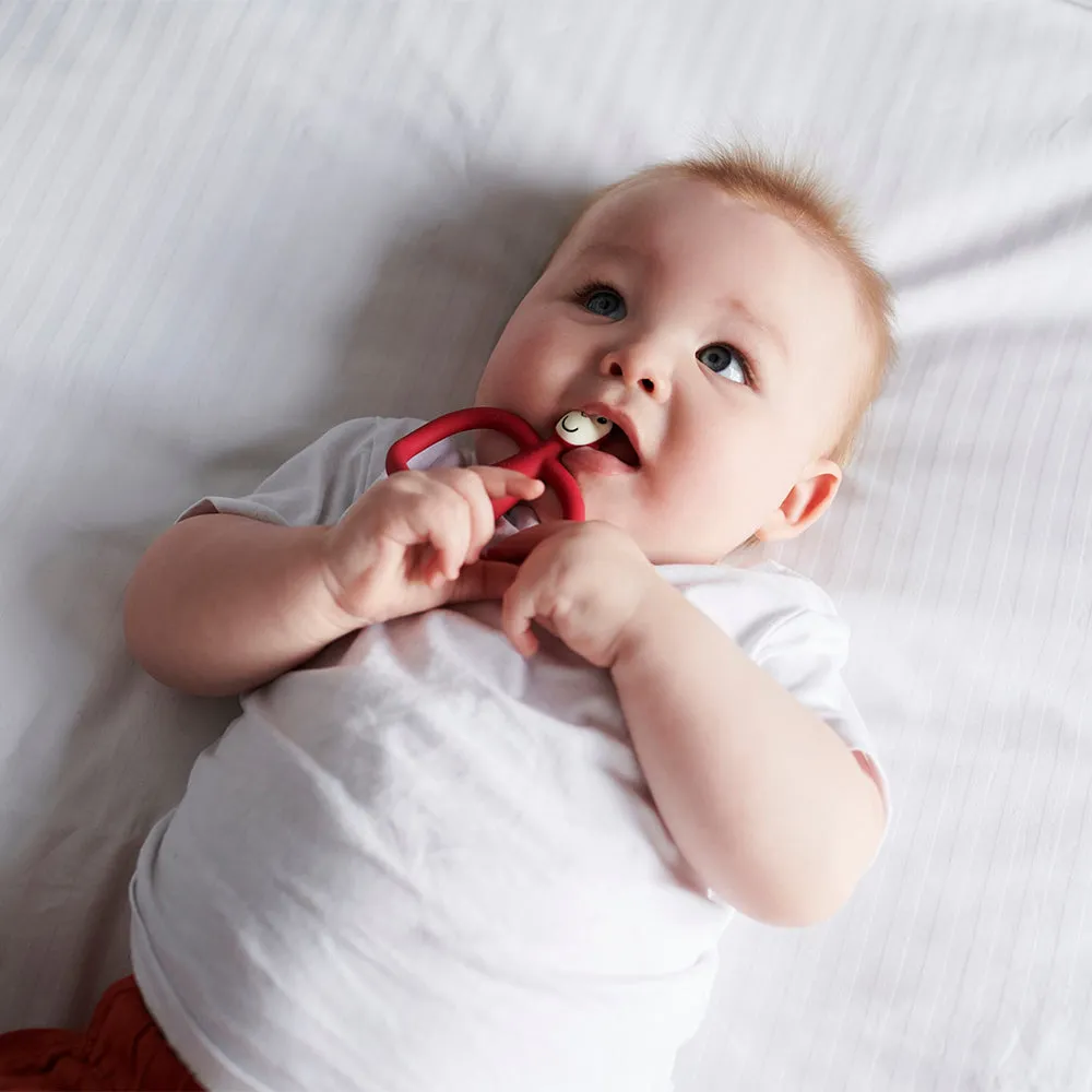 Red Monkey Teether