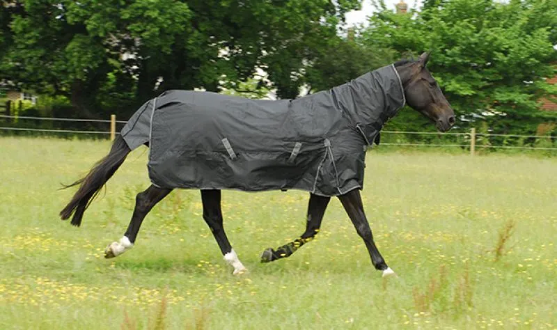 Rhinegold Full Neck Konig Outdoor Rug