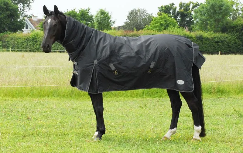 Rhinegold Full Neck Konig Outdoor Rug
