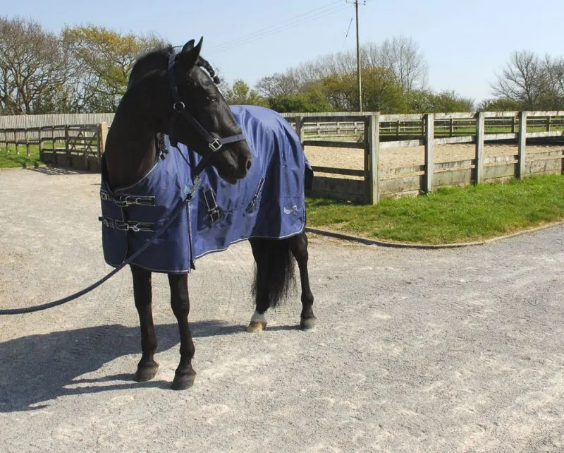 Rhinegold Torrent Outdoor Rug