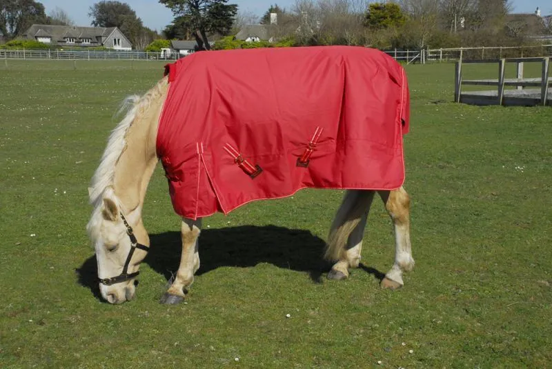 Rhinegold Torrent Outdoor Rug