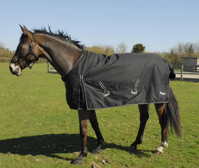 Rhinegold Torrent Outdoor Rug