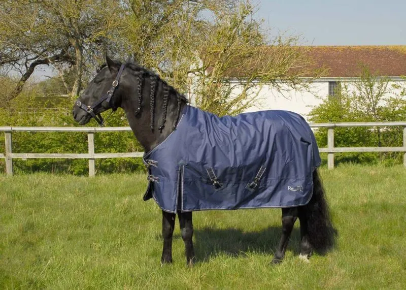 Rhinegold Torrent Outdoor Rug