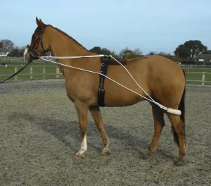 Rhinegold Training System With Roller