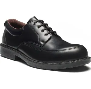Safety Shoes Executive II Dickies / Buy Online